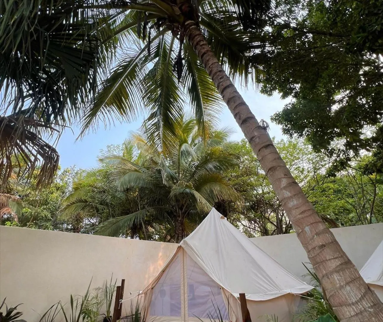 Hotel Shamalay - Nomad Experience à Bacalar