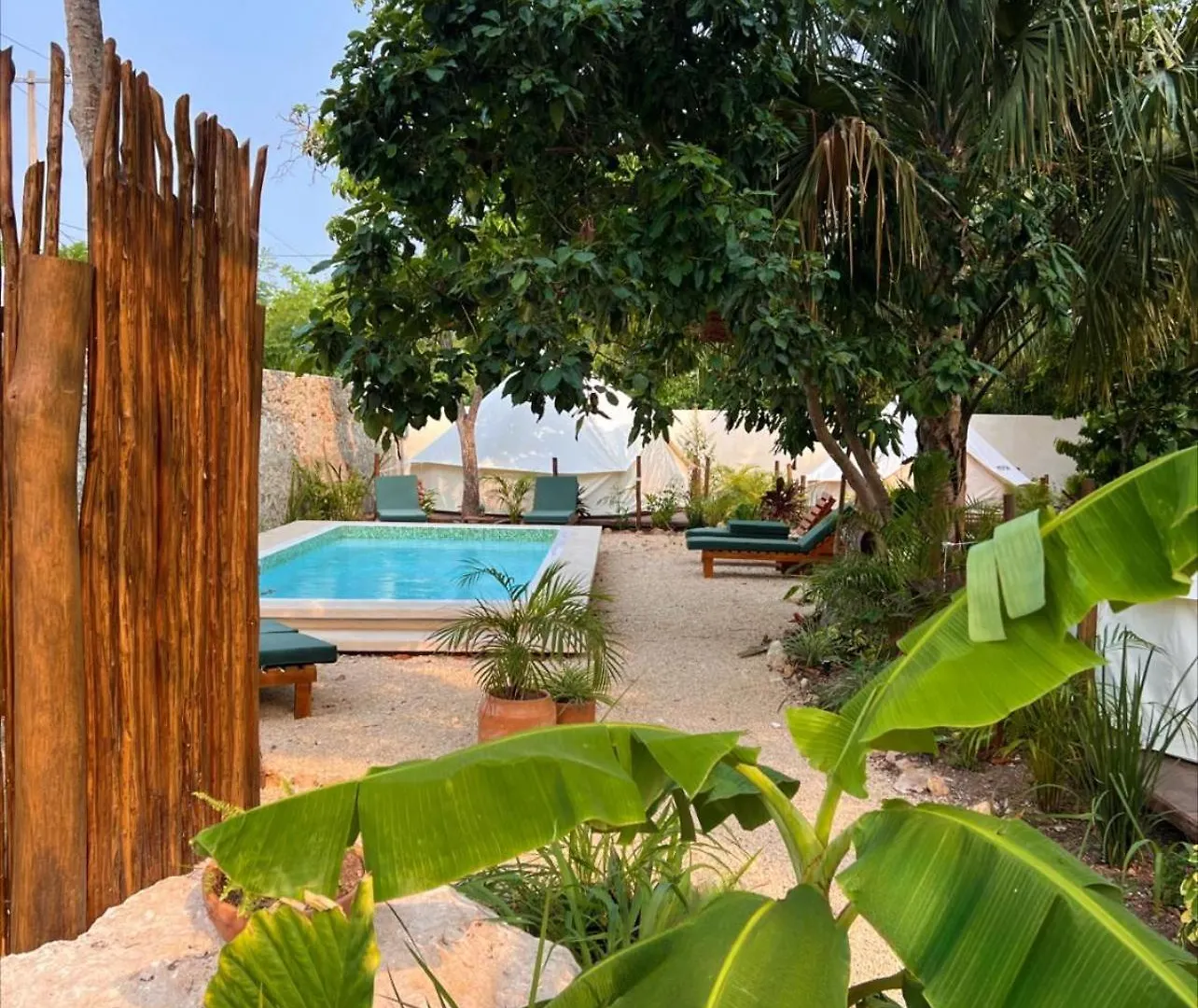 Shamalay - Nomad Experience contacts